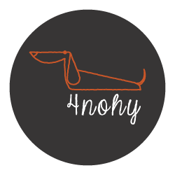 logo-4nohy-footer